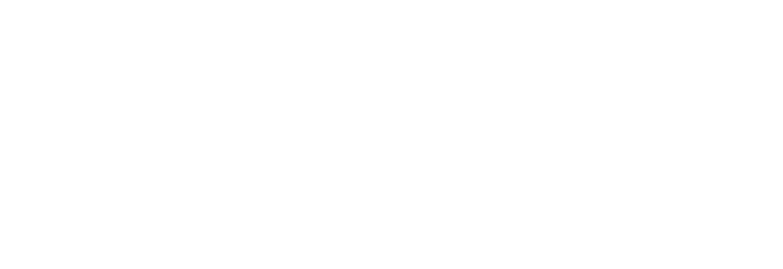 Wook & Wild Text Logo